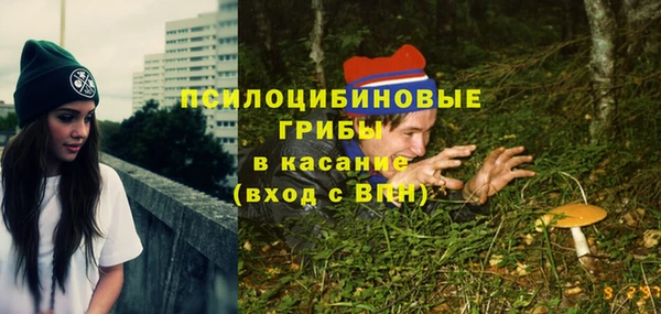 прущая мука Сатка