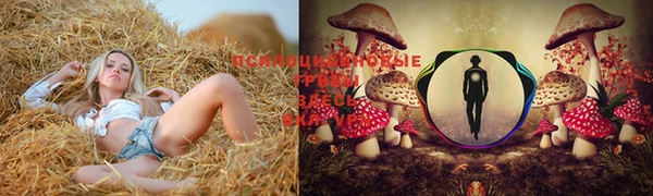 экстази Сафоново