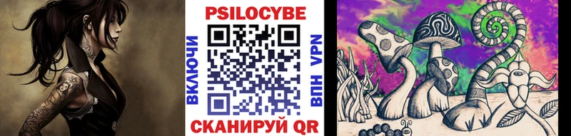Псилоцибиновые грибы Psilocybe Емва