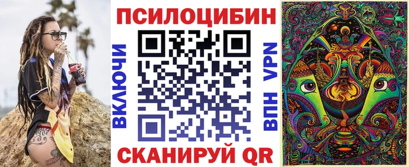 Псилоцибиновые грибы Psilocybe  Емва 